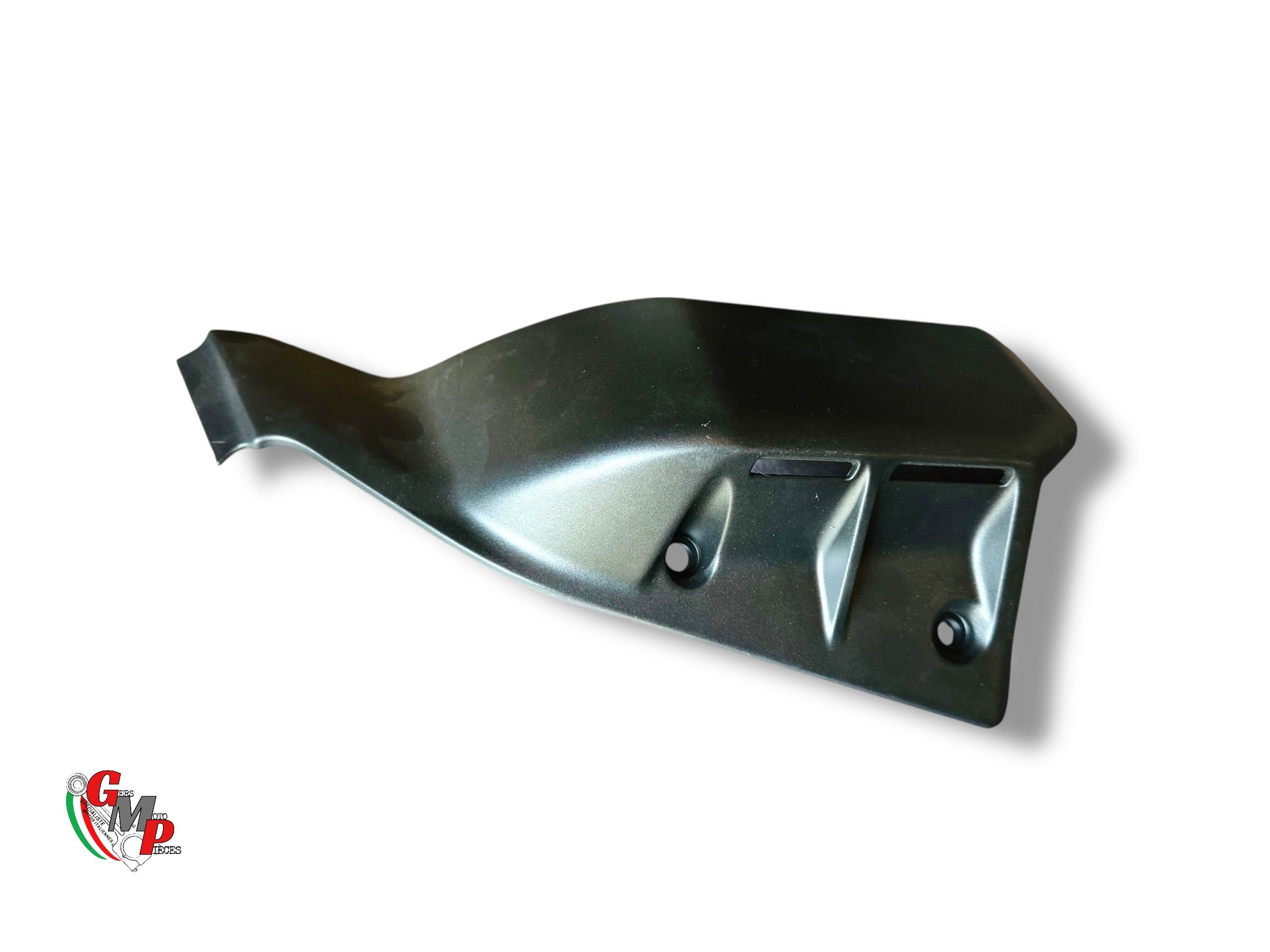 Right Side Cover Canister Protection NEW - Ducati