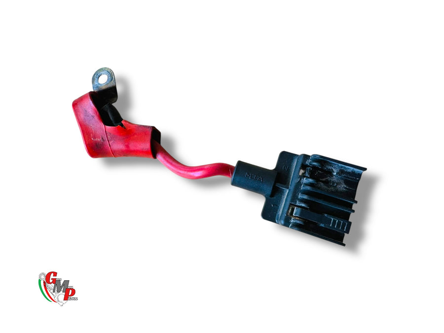 Plug and Electronic Harness with Positive Terminal - Ducati