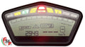 Dashboard Counter 2949kms - Ducati