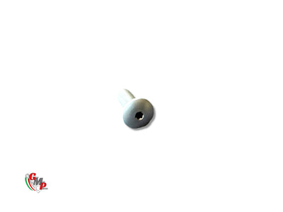 Windshield Screw NEW - Ducati
