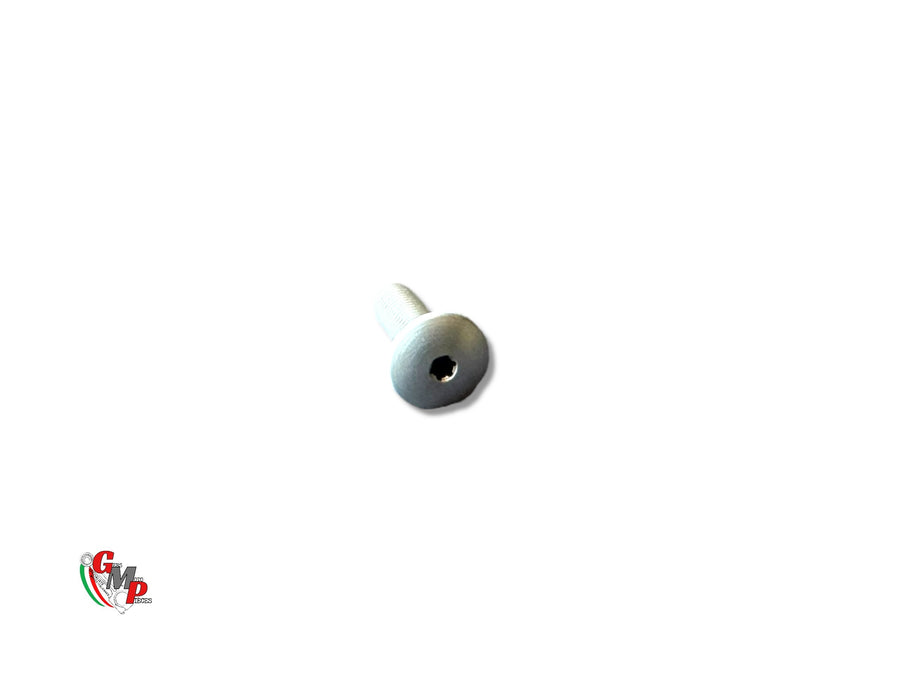 Windshield Screw NEW - Ducati
