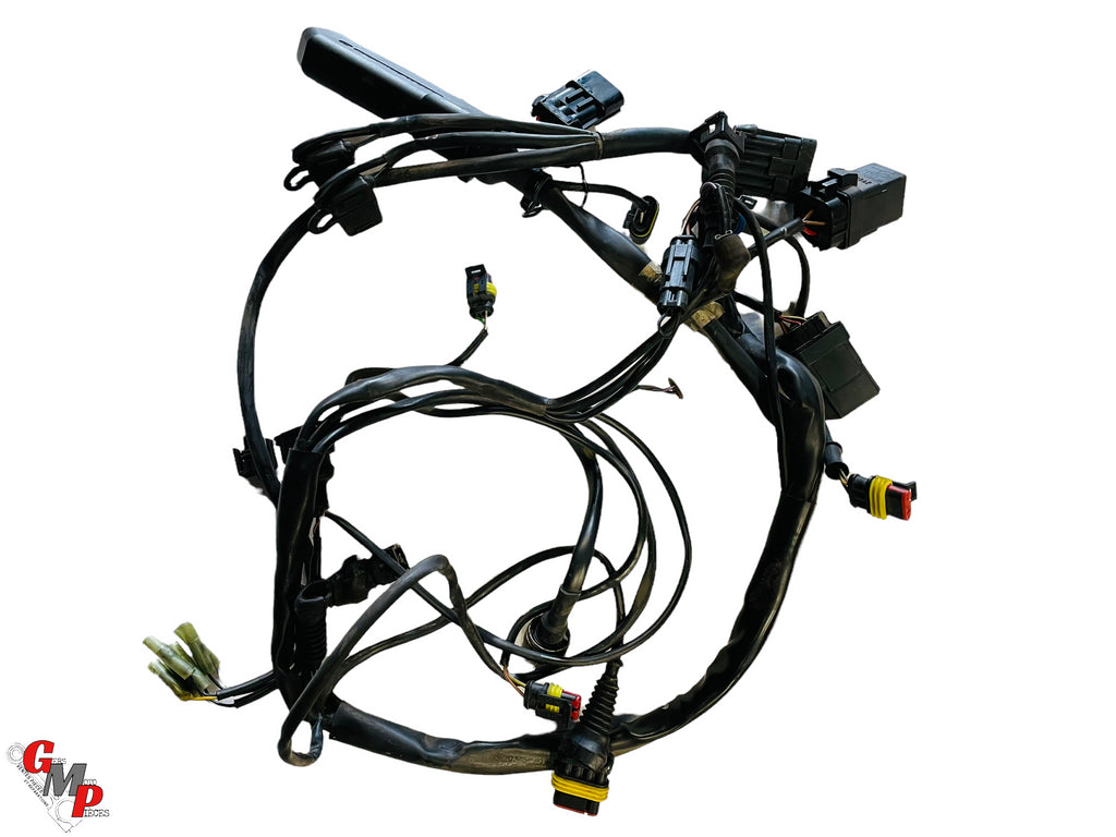 Rear Main Wiring Harness - Ducati