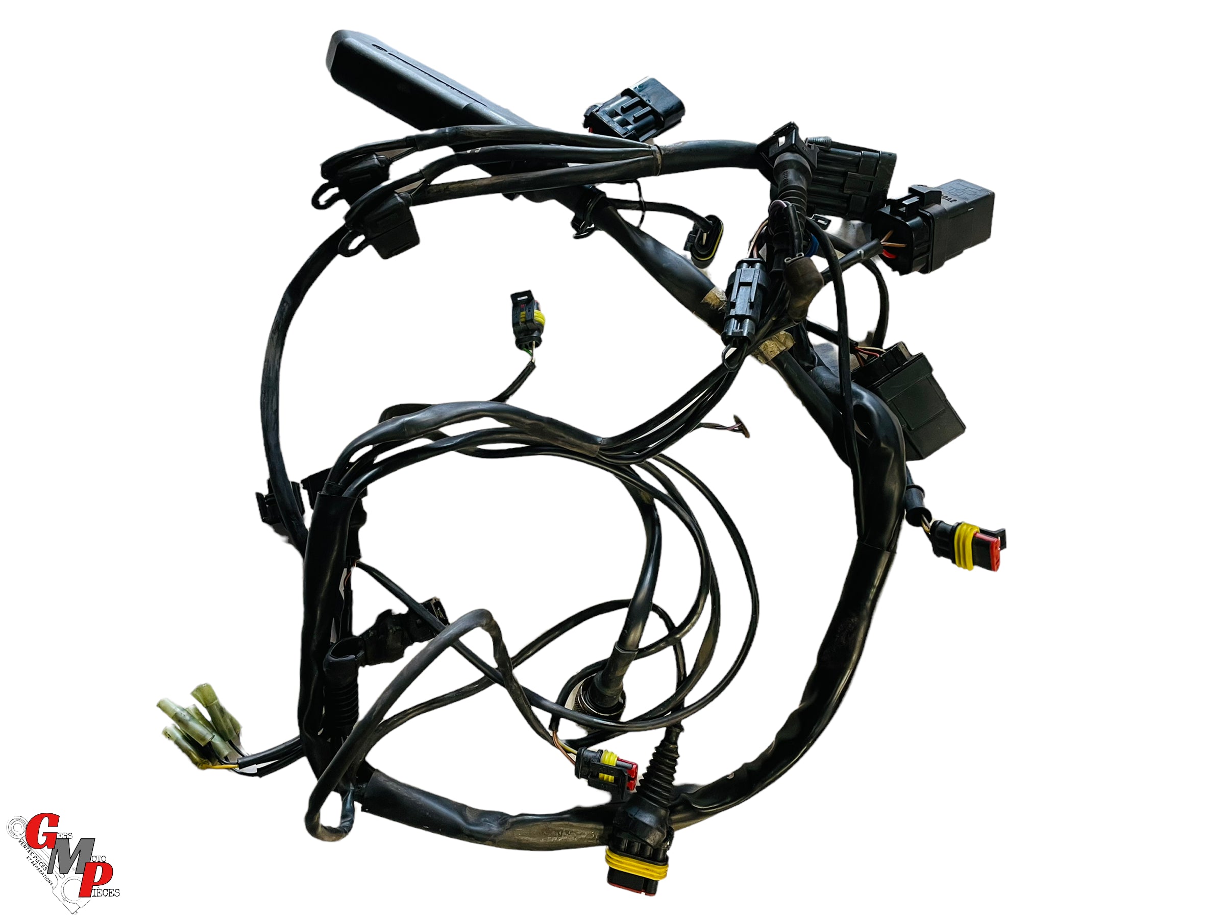 Rear Main Wiring Harness - Ducati
