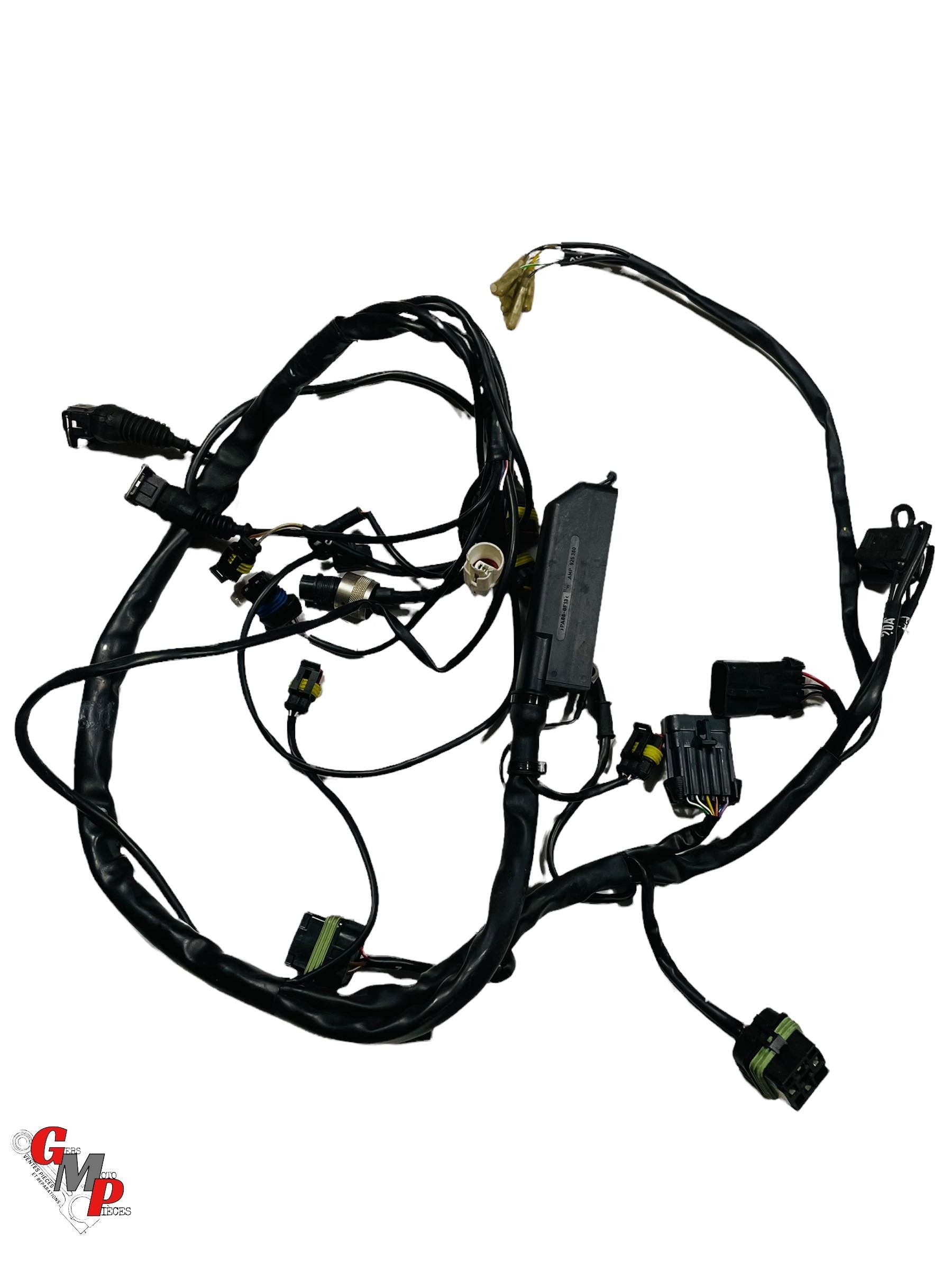 Rear Main Wiring Harness - Ducati