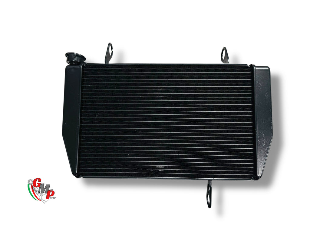 Controlled and Refurbished Water Radiator - Ducati