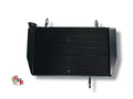 Controlled and Refurbished Water Radiator - Ducati