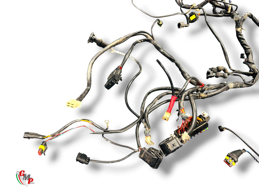 Wiring Harness - Ducati