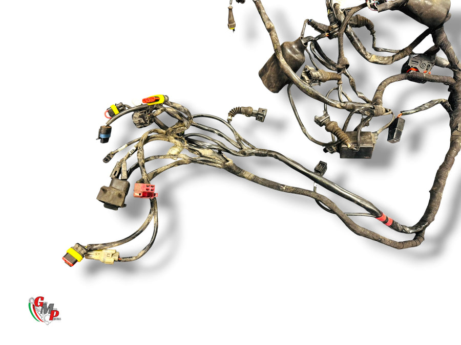Electrical Harness - Ducati