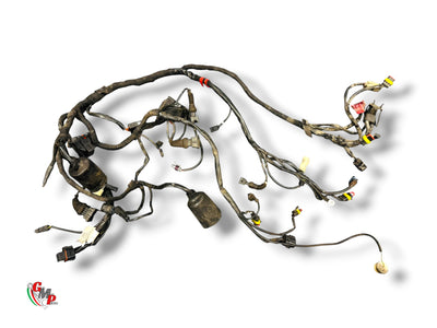 Electrical Harness - Ducati