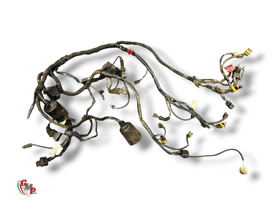 Electrical Harness - Ducati