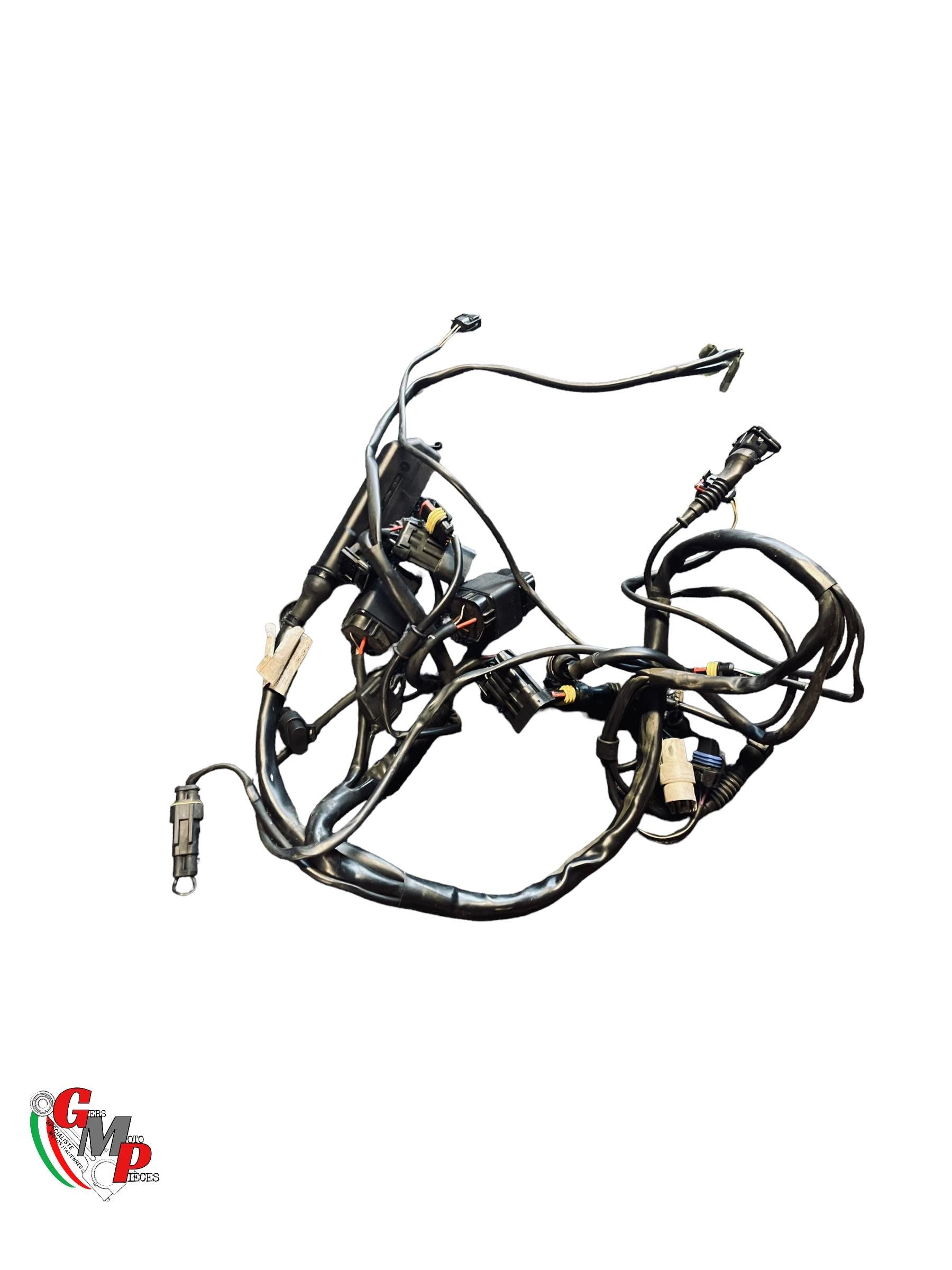 Rear Main Wiring Harness - Ducati