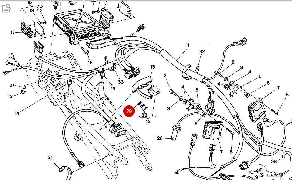 NEW Gasket - Ducati