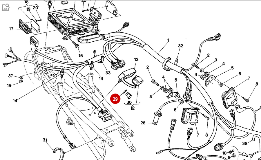 NEW Gasket - Ducati
