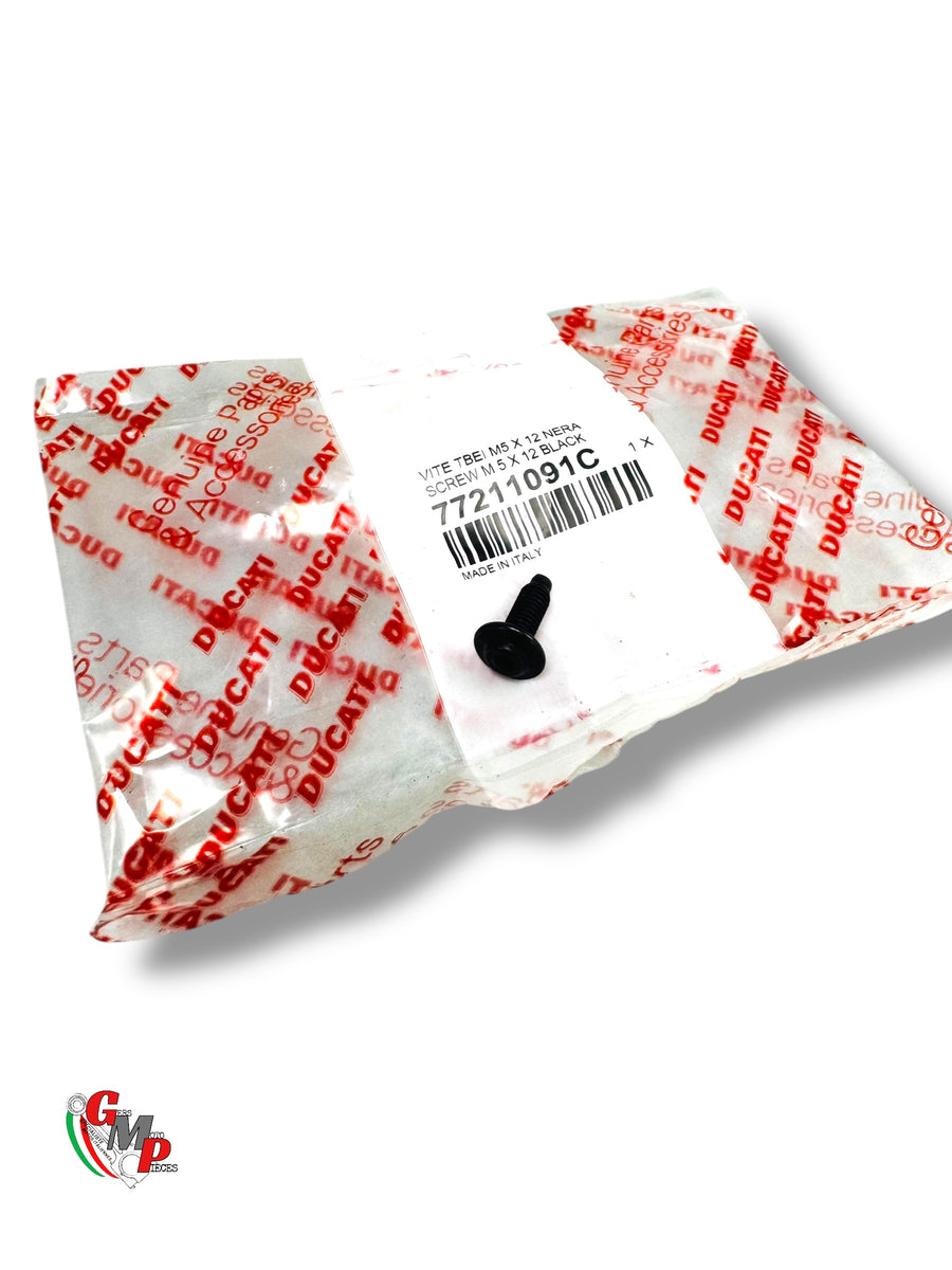NEW Vis Special Fairing - Ducati