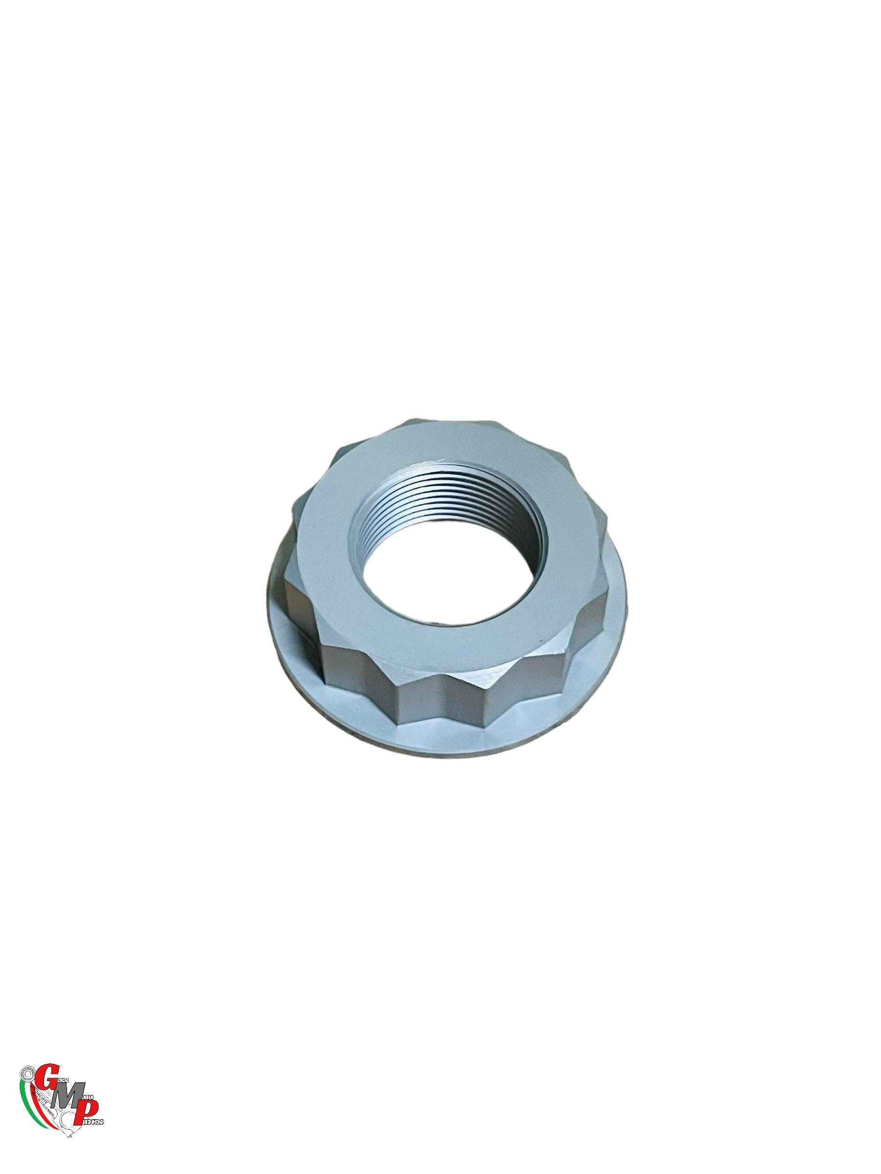 NEW Swingarm Nut - Ducati Desmosedici D16RR