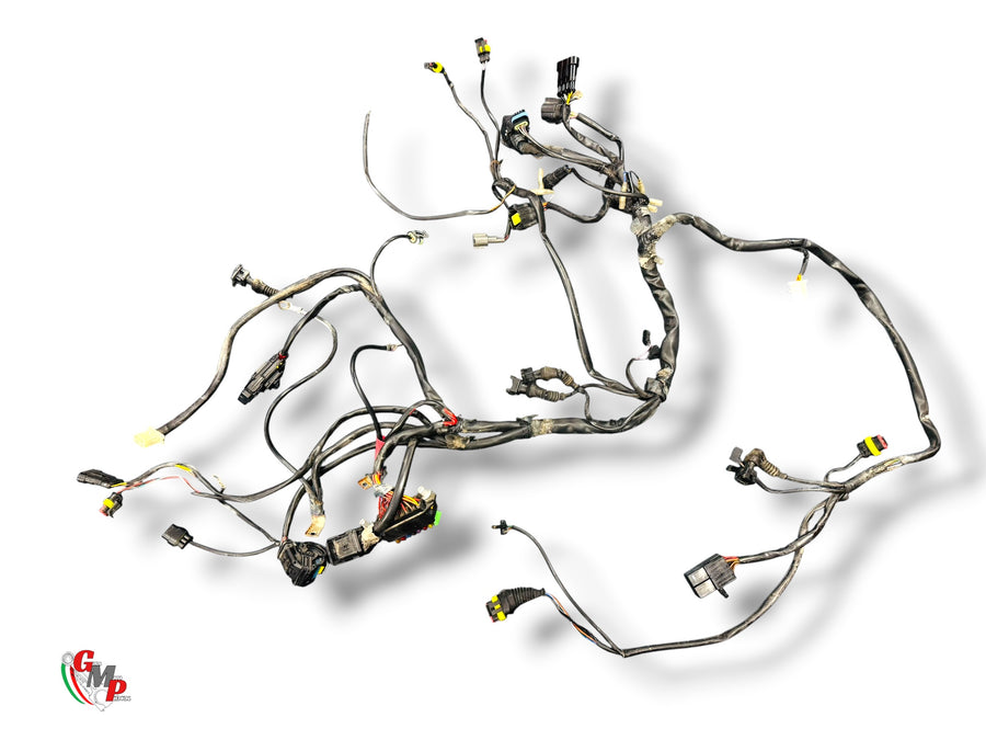 Wiring Harness - Ducati