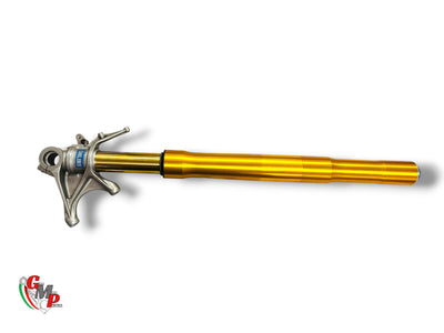 Left Fork Assembly öhlins - Ducati