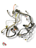 Wiring Harness - Ducati
