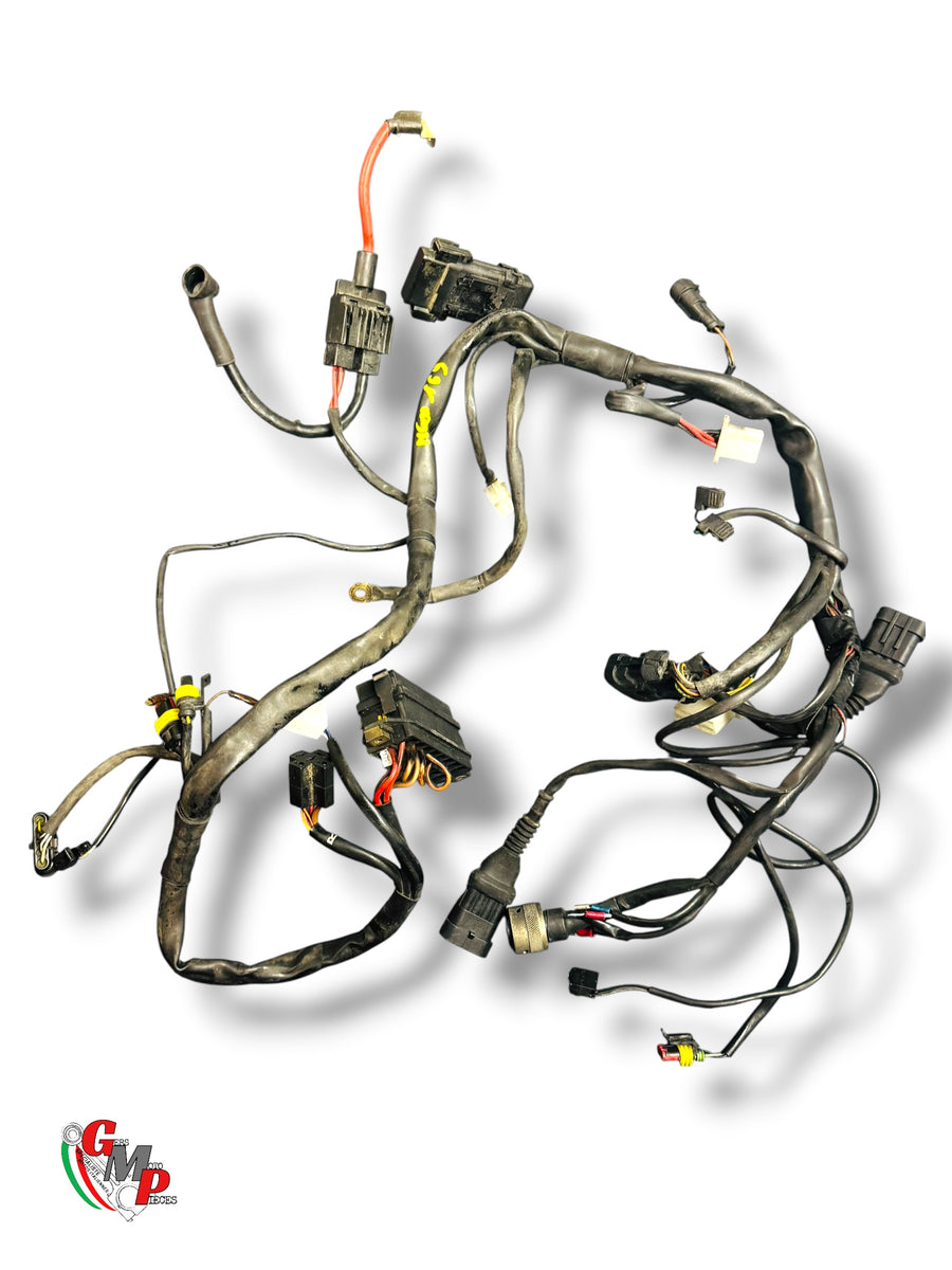Wiring Harness - Ducati