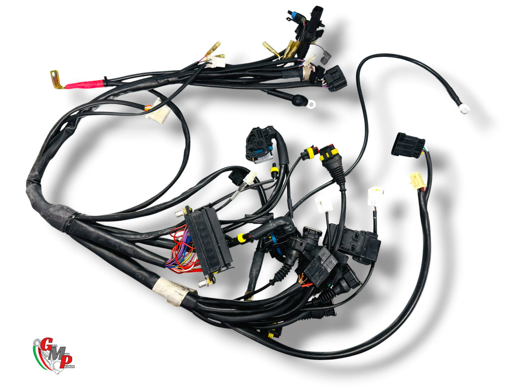 Wiring Harness NEW - Ducati