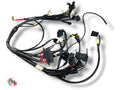 Wiring Harness NEW - Ducati