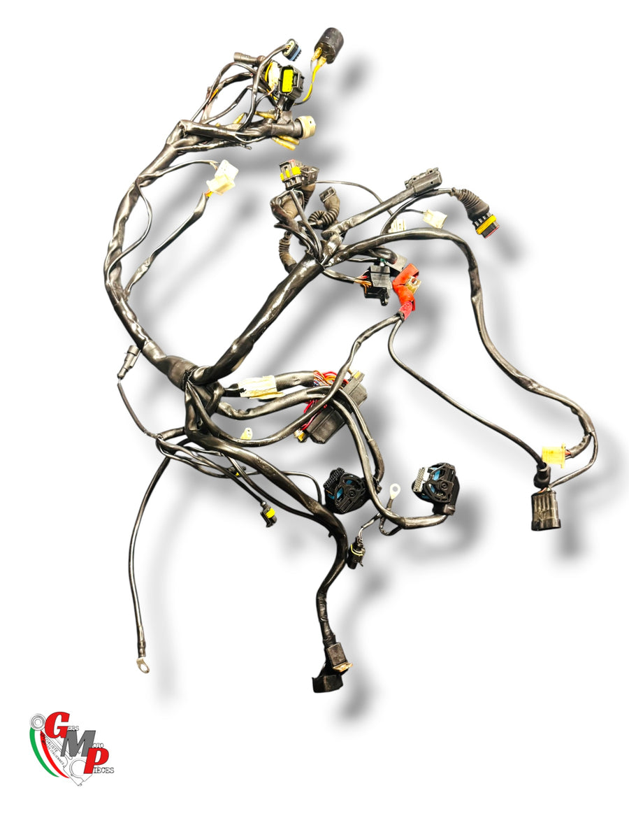 Wire Harness - Ducati