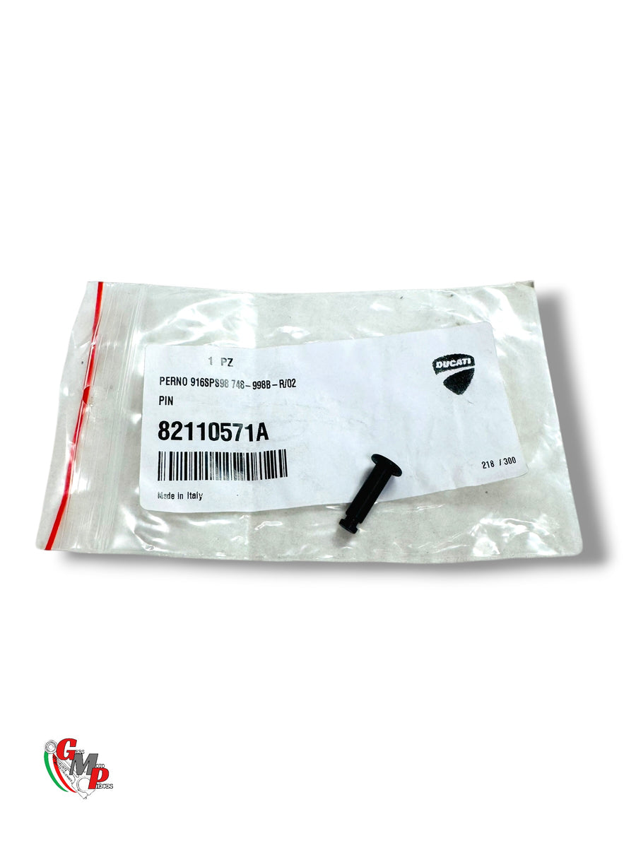 NEW Swingarm - Ducati