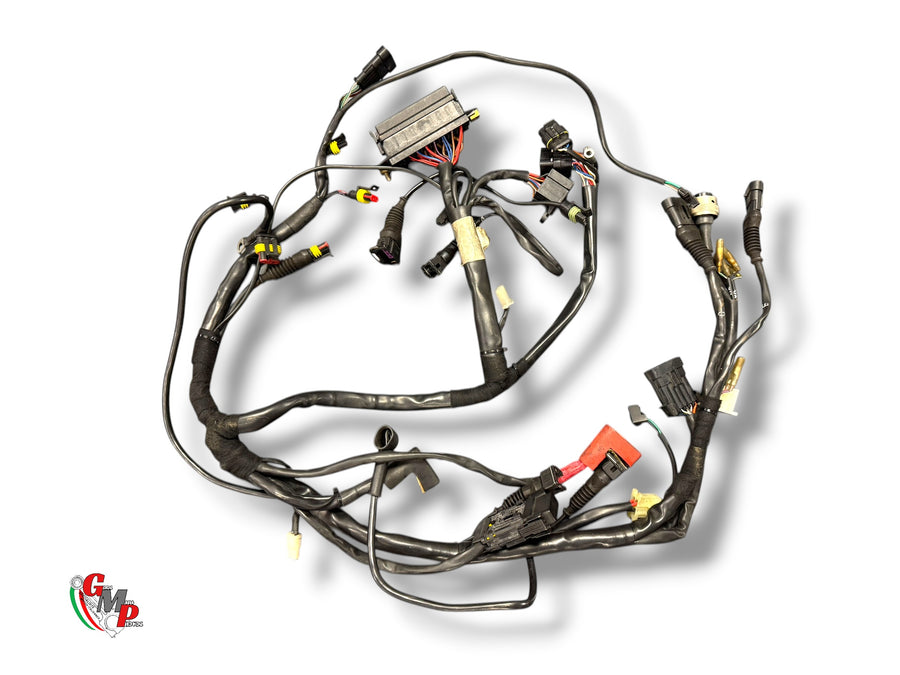 Electrical Harness - Ducati