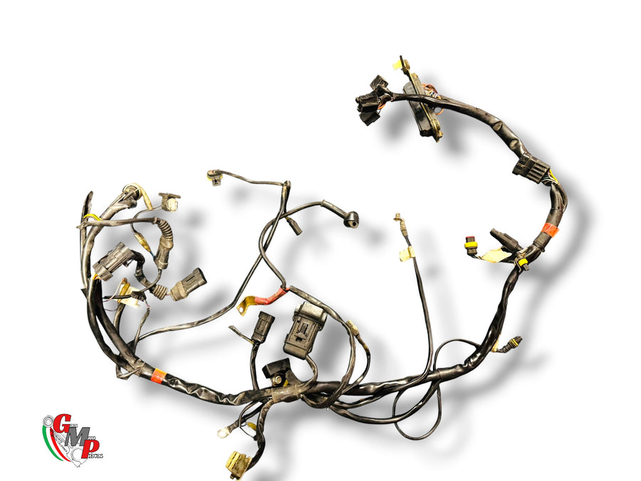 Wiring Harness - Ducati