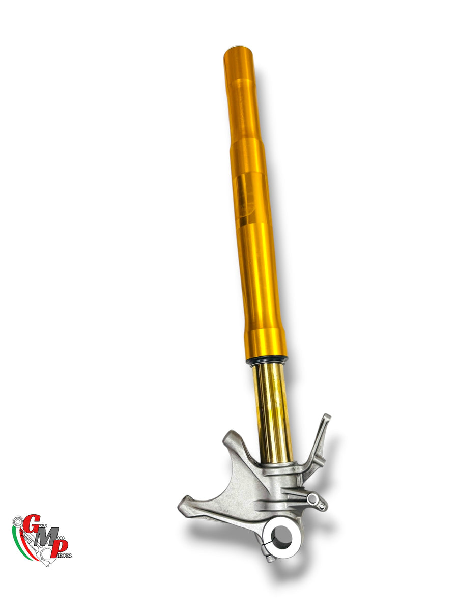 Left Fork Assembly öhlins - Ducati