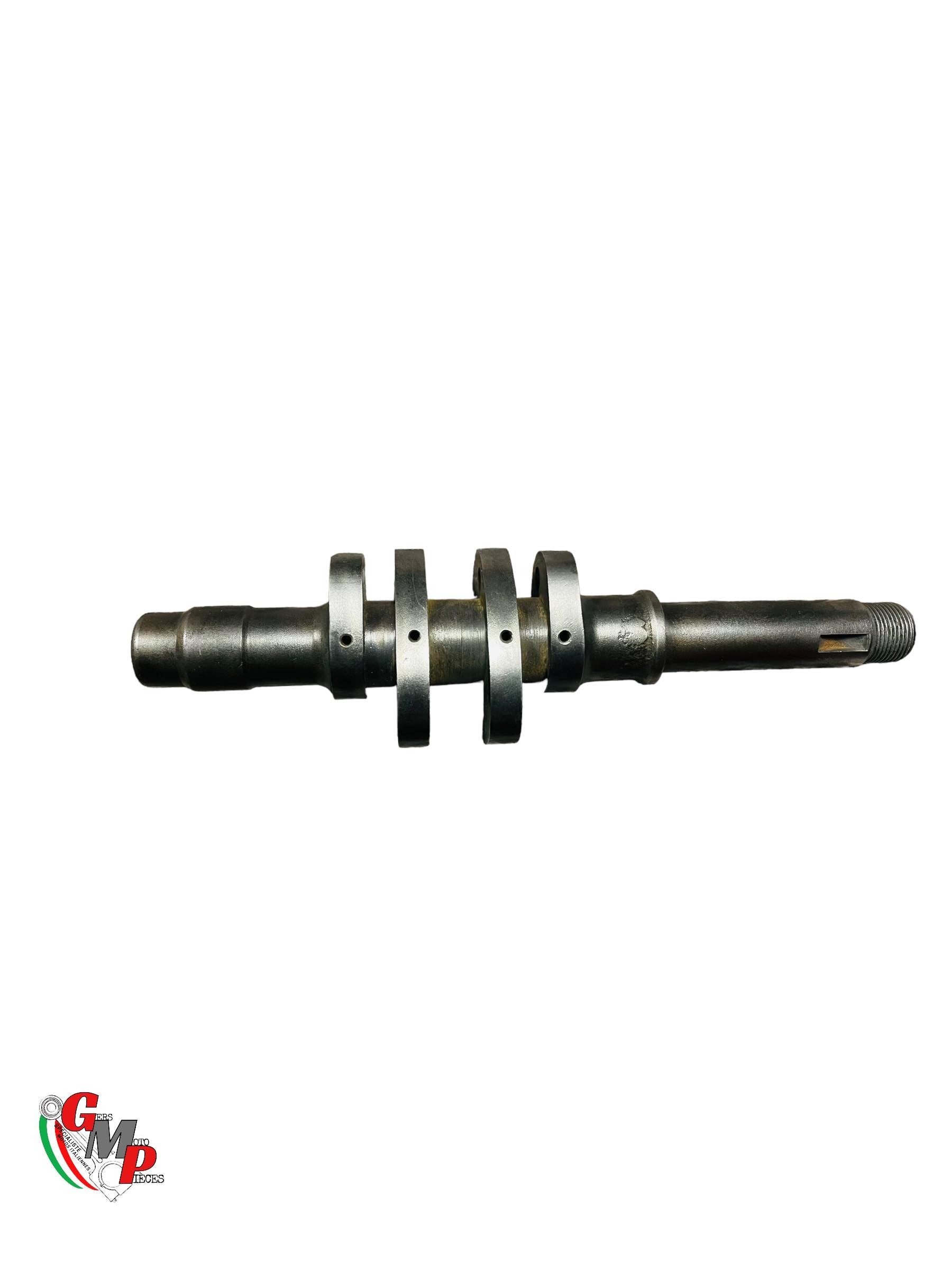 Vertical Camshaft Racing Exhaust - Ducati