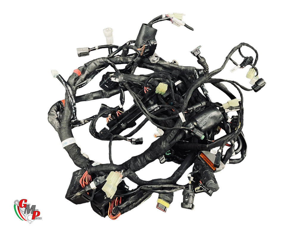 Main Wiring Harness - Ducati