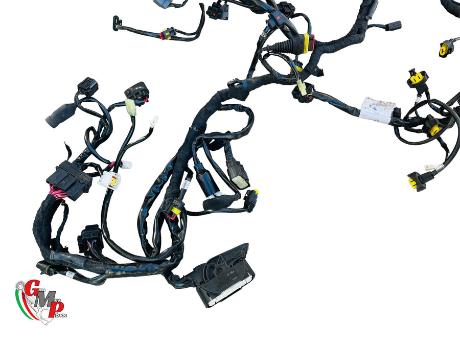 Complete Wiring Harness - Ducati