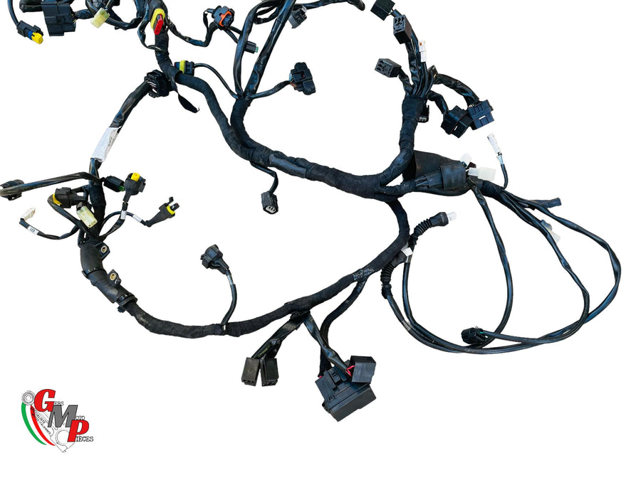 Complete Wiring Harness - Ducati