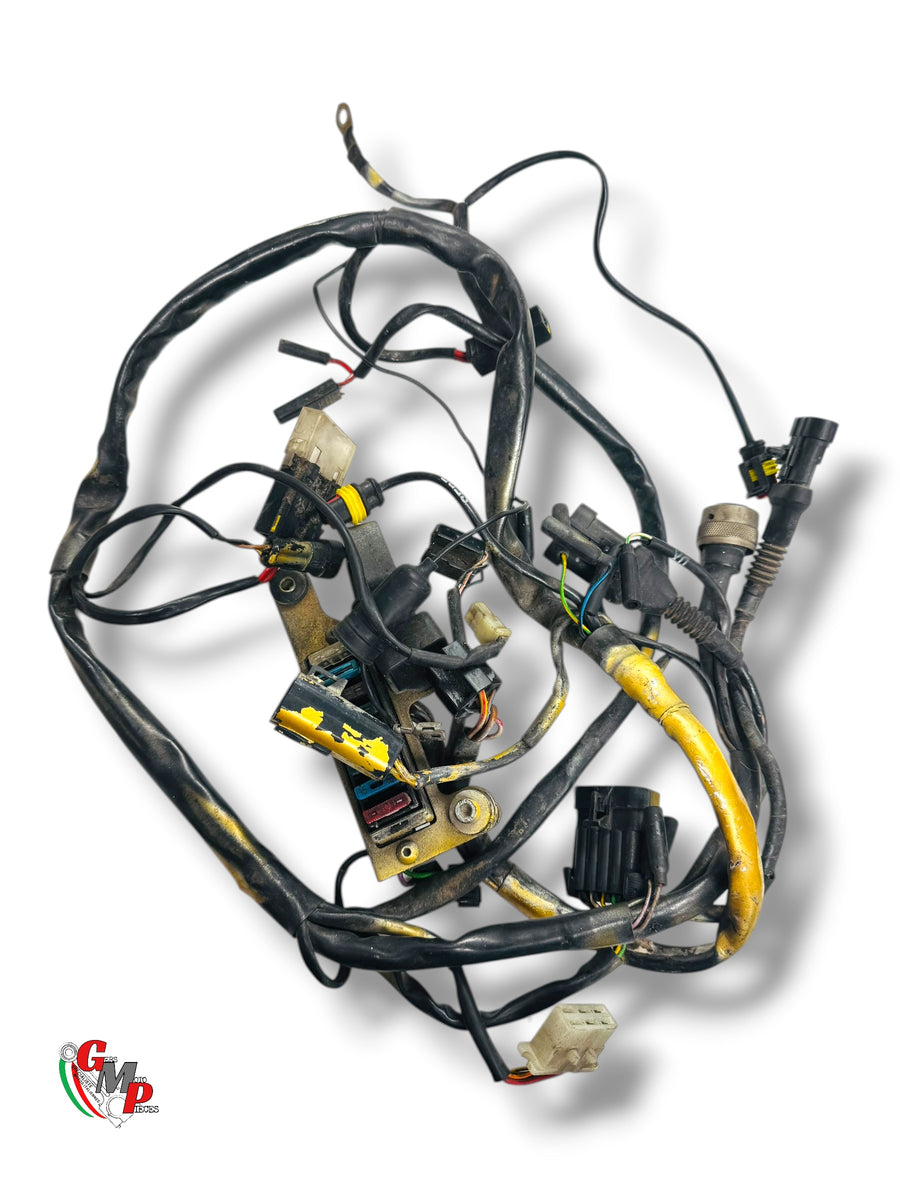 Electrical Harness - Ducati