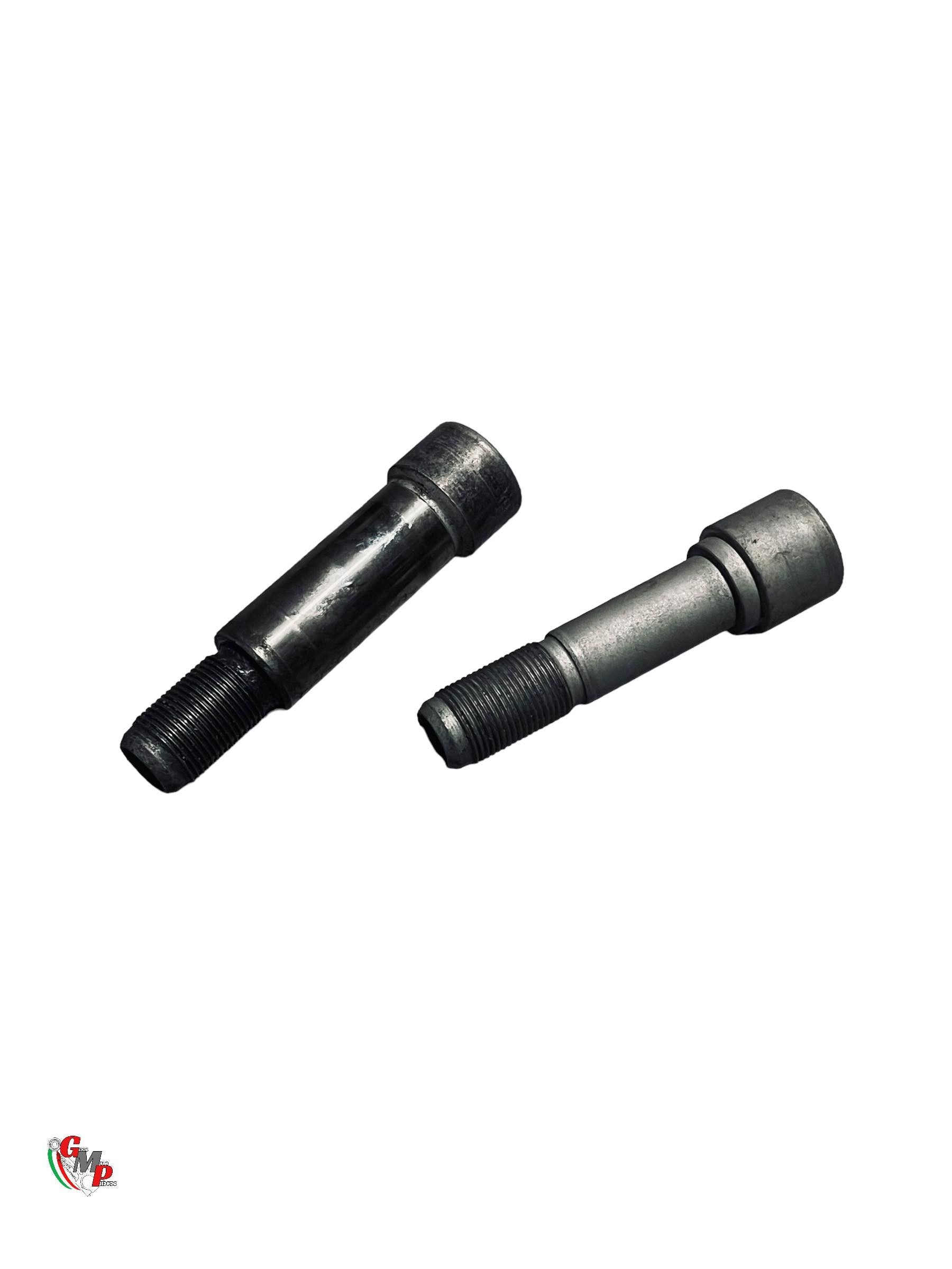 Pair of Engine Axle and Single-sided Swing Arm - Ducati