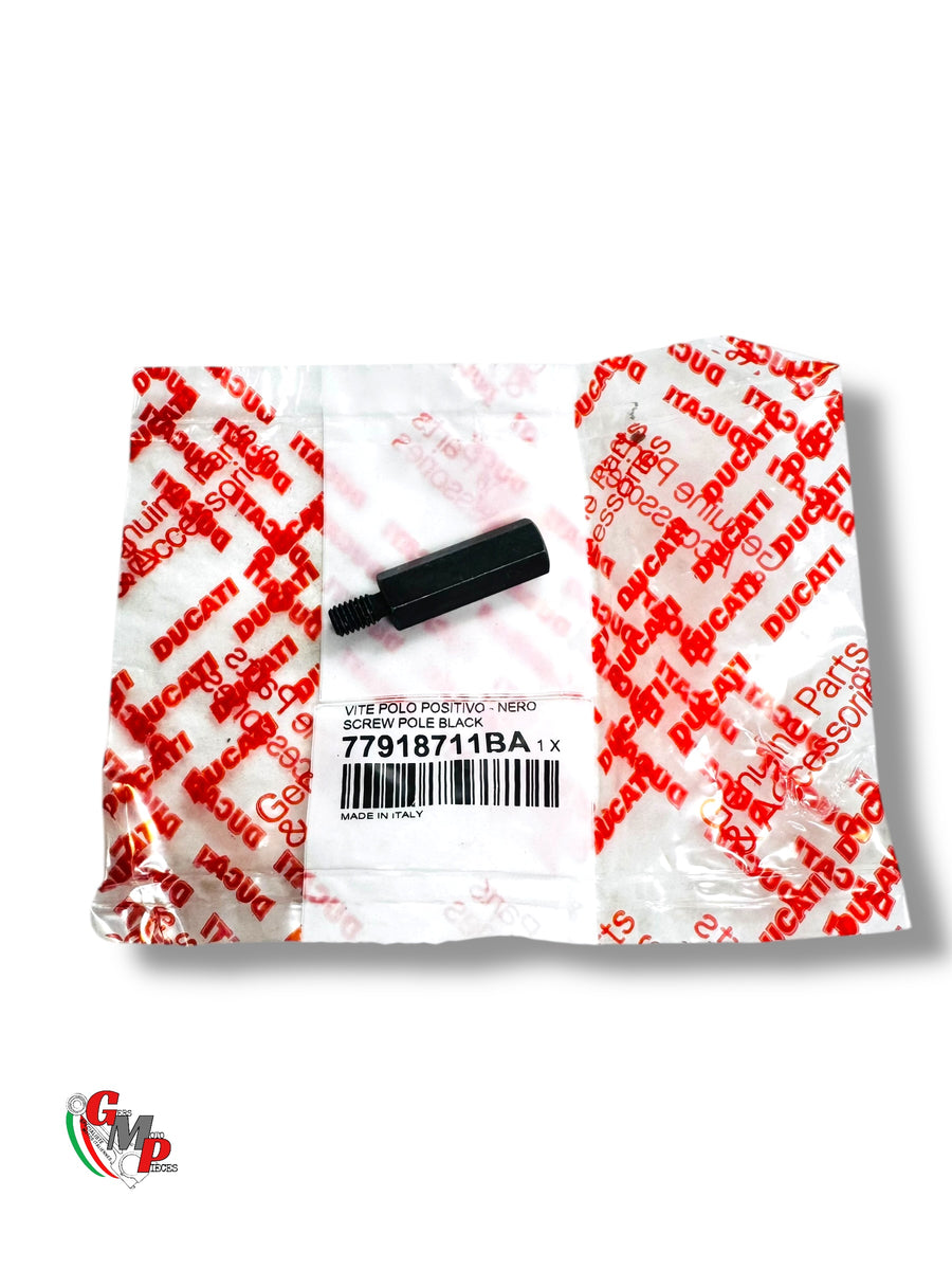 New Special Positive Cable - Ducati