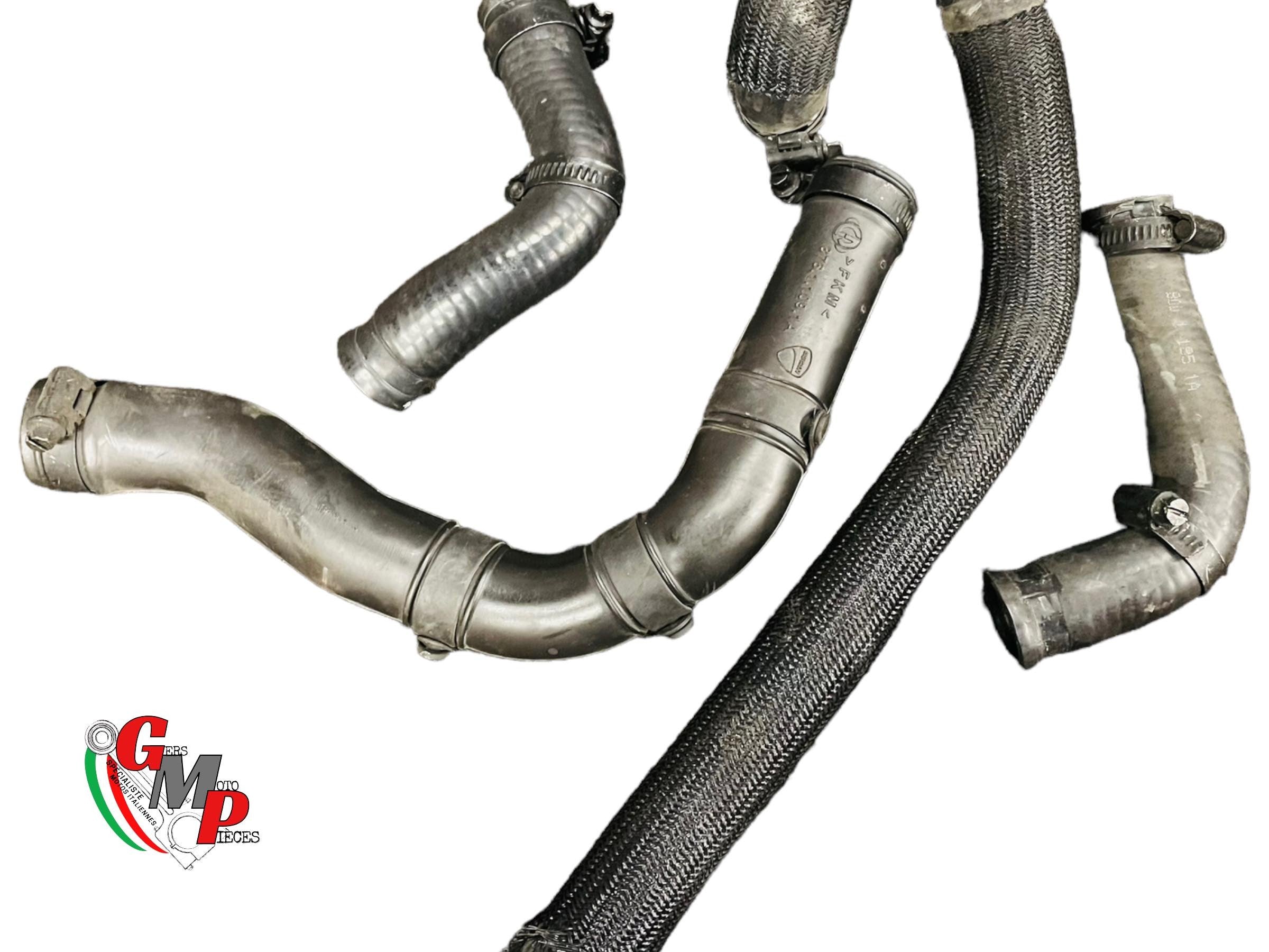 Cooling Hose - Ducati