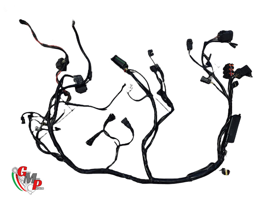Main Wiring Harness - Ducati