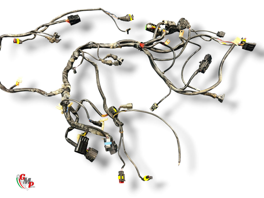 Wiring Harness - Ducati