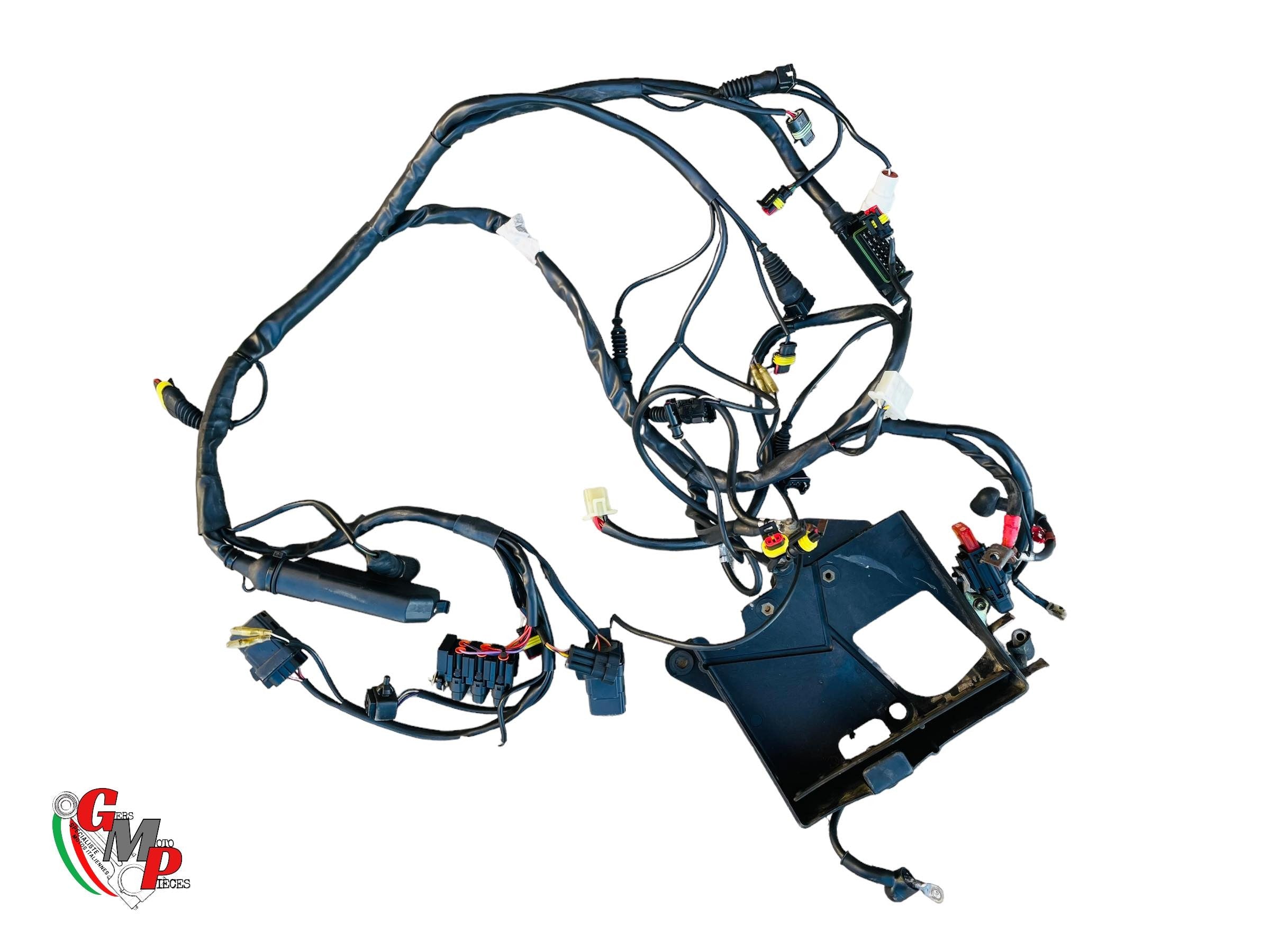 Main Wiring Harness - Ducati