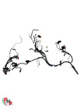Complete Wiring Harness + Rear Wiring Harness - Ducati
