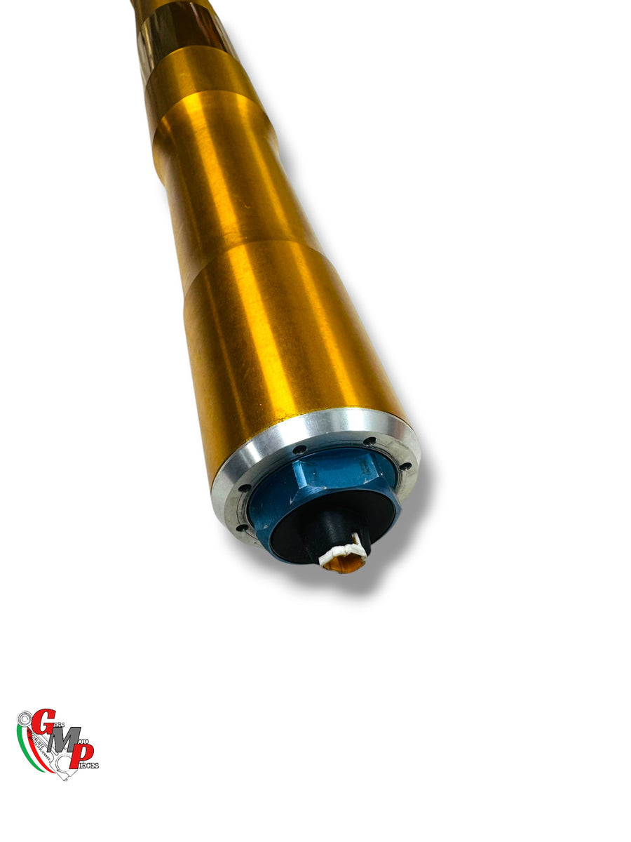 Left Fork Assembly öhlins - Ducati