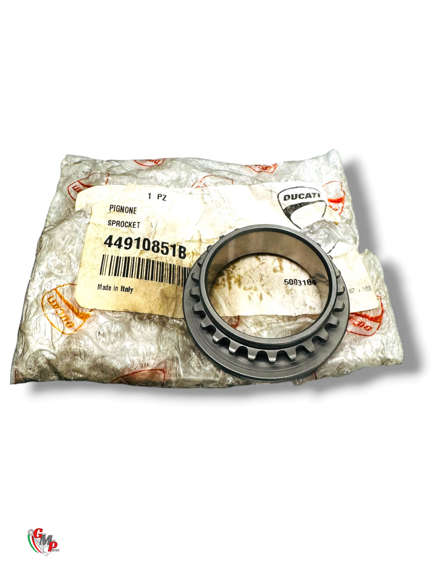 Pignon Chaine NEUF - Ducati