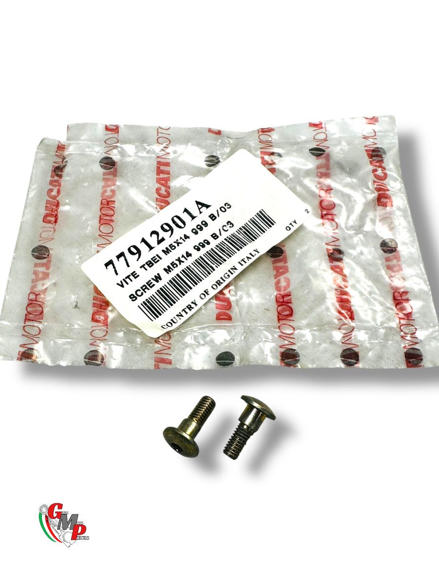 Screw Tbei M5X14 NEW - Ducati