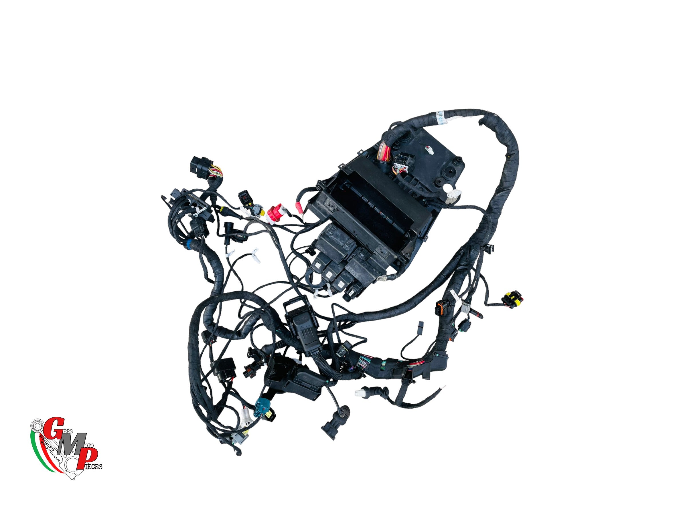 Complete Main Wiring Harness - Ducati