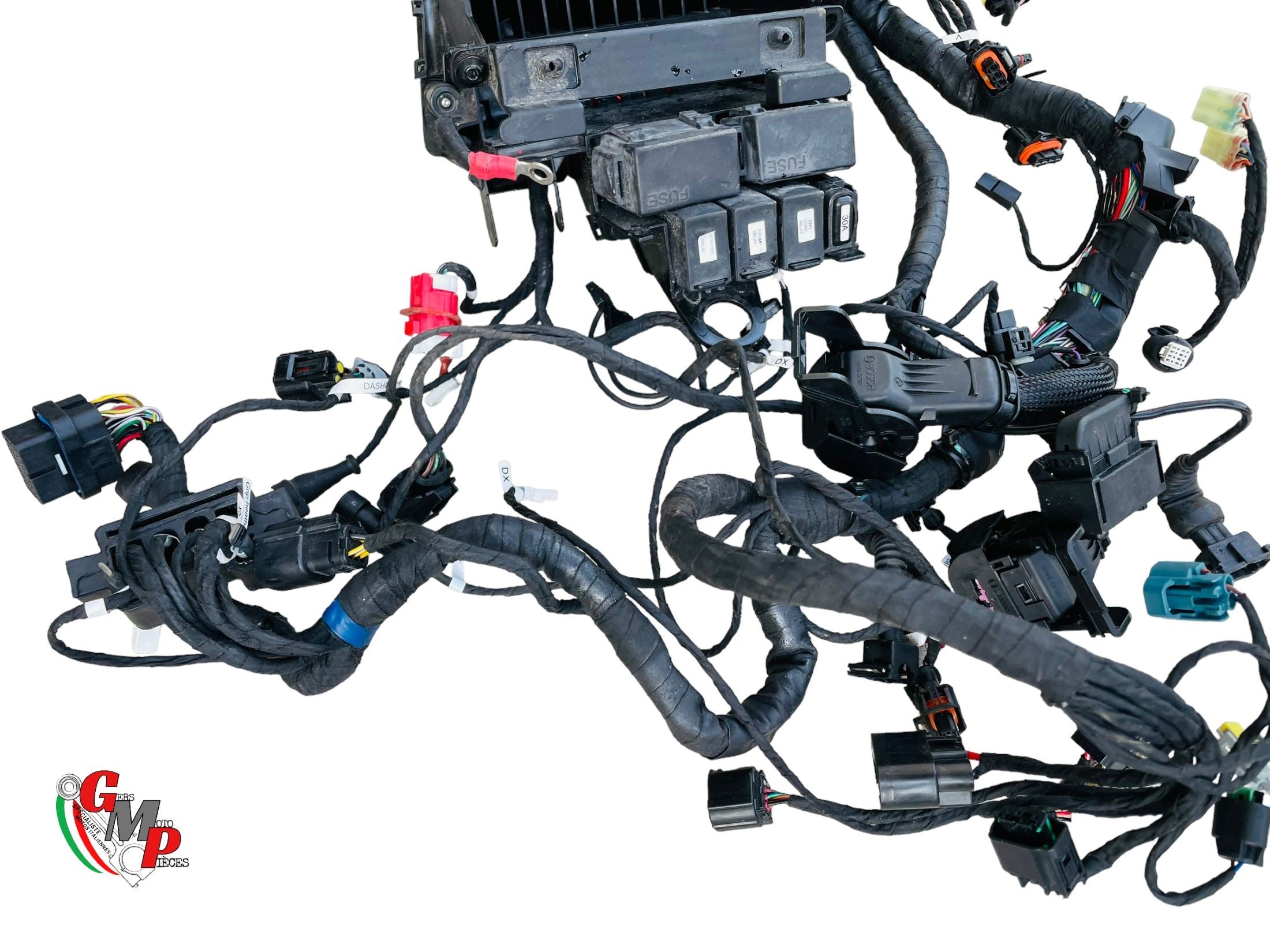 Complete Main Wiring Harness - Ducati