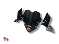 Plastic Front Panel - Ducati