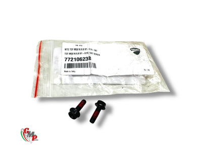 NEW screw - Ducati