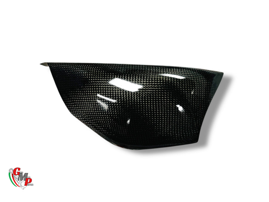 Carbon Swingarm Cover NEW - Ducati